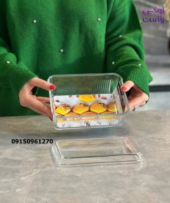 بیسکویت خوری شیاردار درب اکرولیک لیمون 2260
