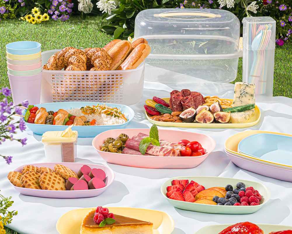 سرویس مسافرتی و پیک نیک لیمون