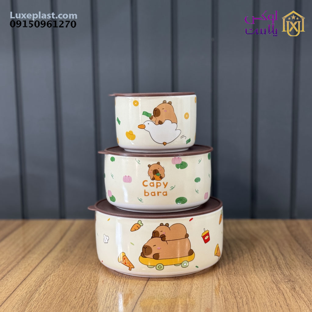 ست ظرف سرامیک کادوئی کد 2418