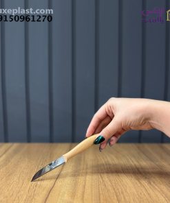 کارد میوه خوری 12 عددی دافنی کد 10289