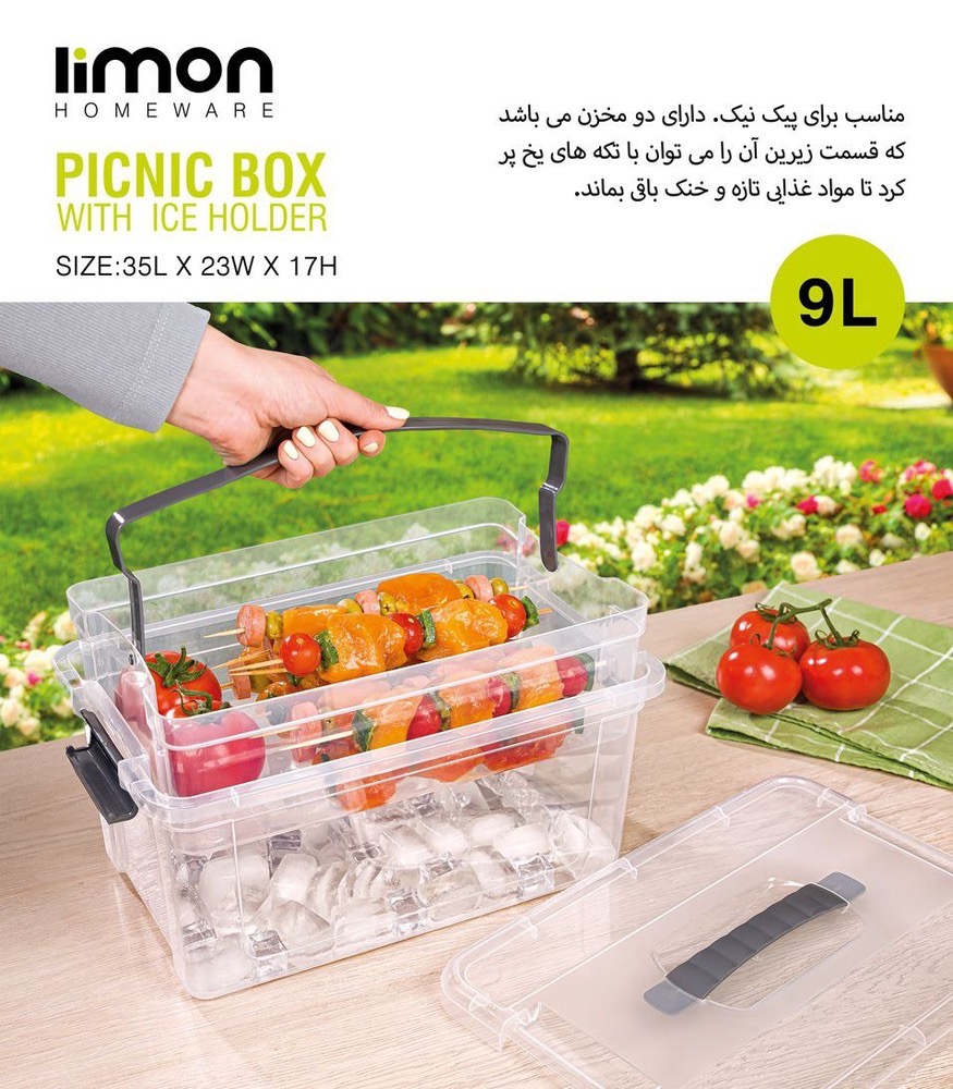 باکس مستطیل 9لیتر بامخزن یخ لیمون کد2418
